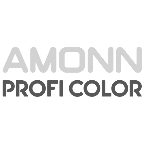 Logo Amonn Profi Color