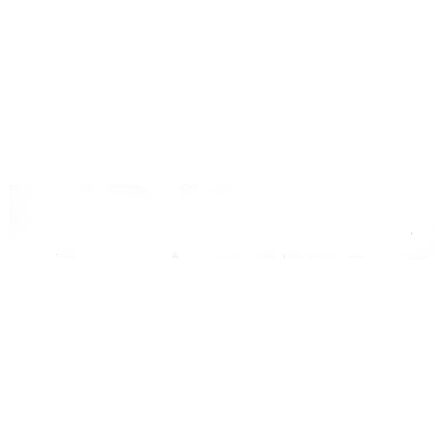 Logo Bad Jokers