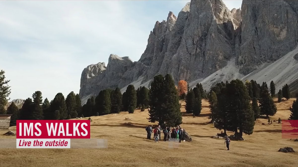 IMS - International Mountain Summit