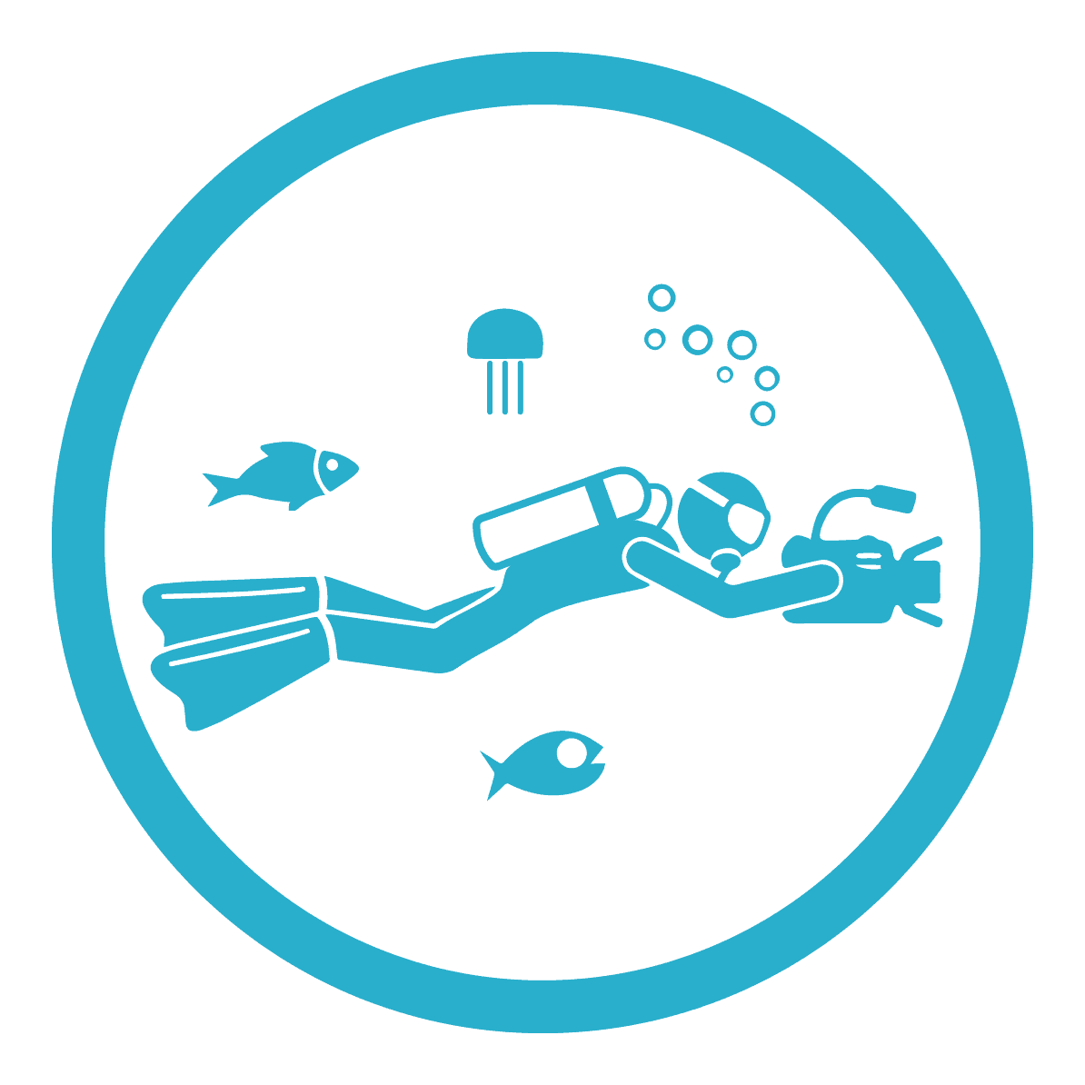 Underwater Videos