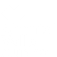 Ahrntal - Valle Aurina
